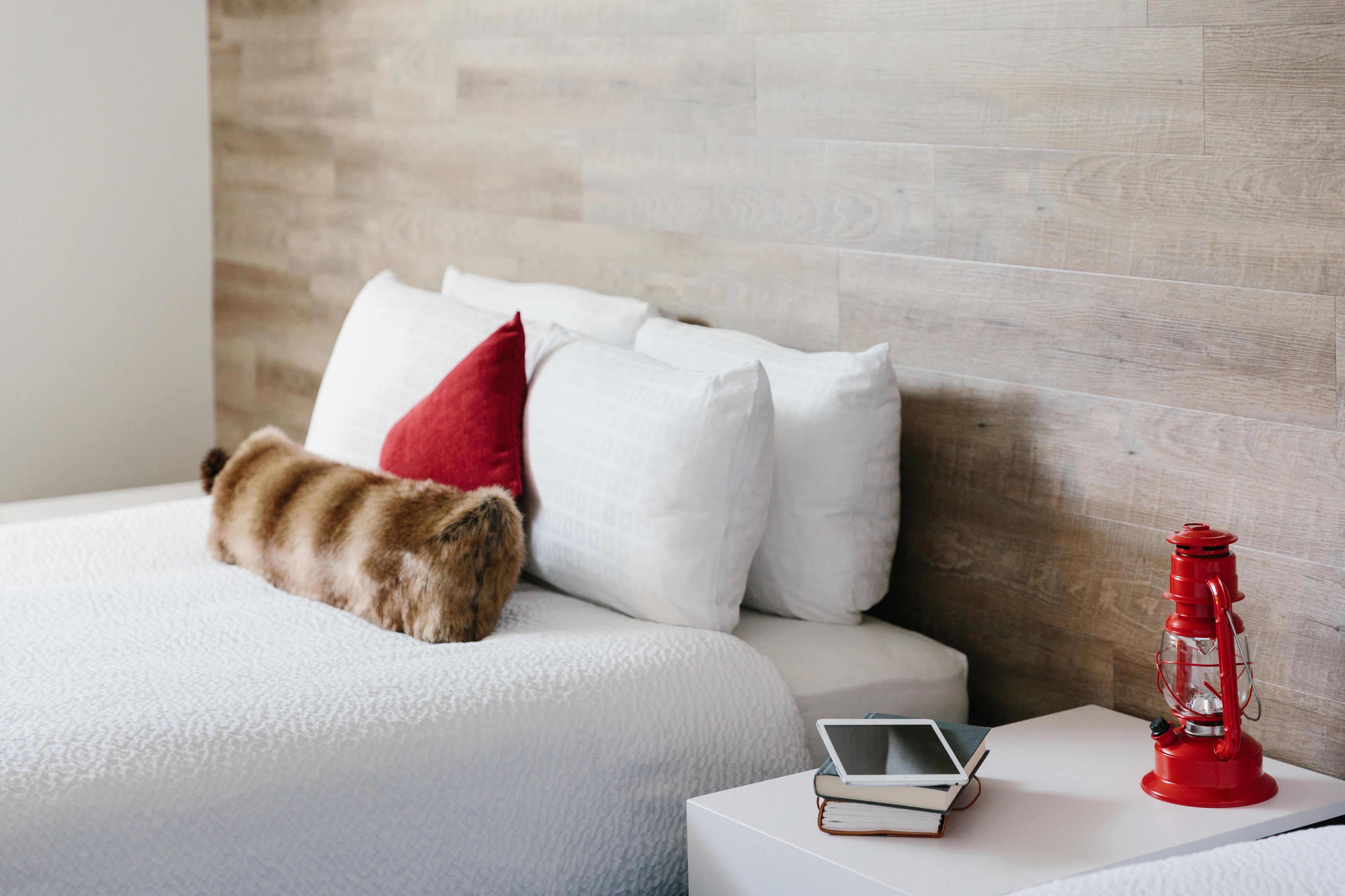 Elk + Avenue Hotel Μπανφ Εξωτερικό φωτογραφία